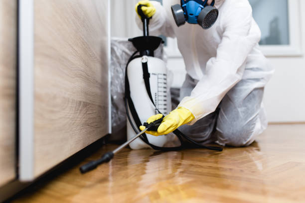  Fort Ashby, WV Pest Control Pros