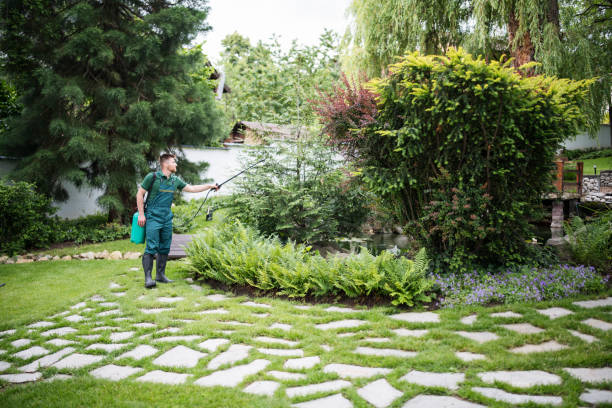 Best Ant Control Services  in Fort Ashby, WV