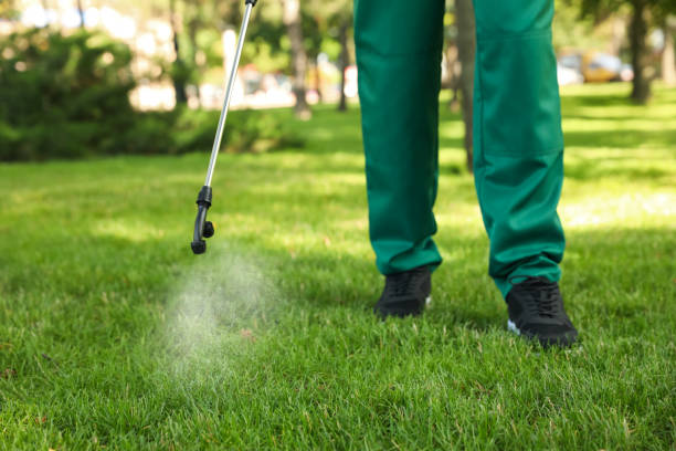 Best Best Pest Control Companies  in Fort Ashby, WV