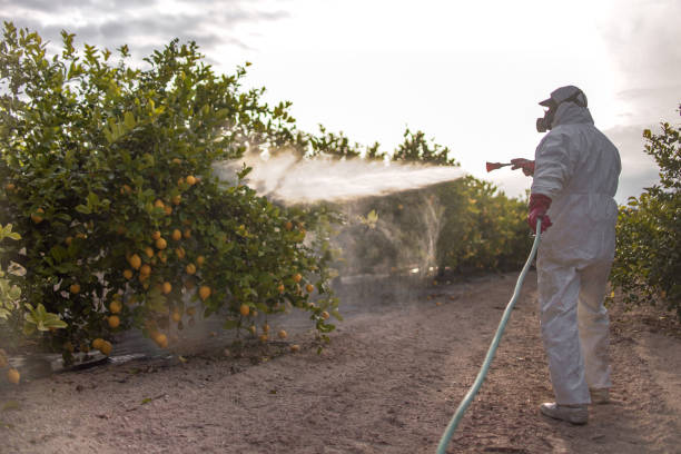 Best Cockroach Control Services  in Fort Ashby, WV