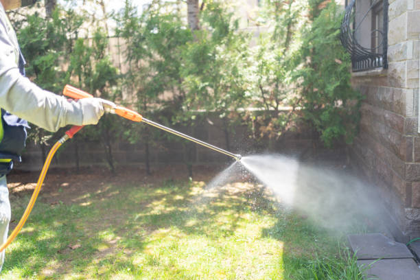 Best Ant Control Services  in Fort Ashby, WV