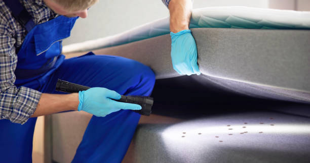 Professional Pest Control in Fort Ashby, WV