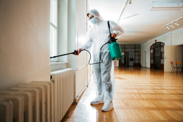 Best Affordable Pest Control Services  in Fort Ashby, WV