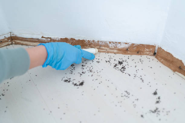 Best Commercial Pest Control Services  in Fort Ashby, WV